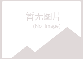 日照岚山惜雪化学有限公司